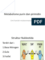 Metabolisme Purin Dan Pirimidin