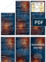 Endocrine System PDF