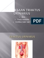 Pemeriksaan Traktus Urinarius (2)