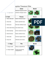 Hapalan Tanaman Obat PDF