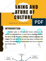 Meaning and Nature of Culture