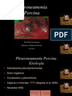 PLEURONEUMONIA Y POLISEROSITIS. UDCA (1).pdf