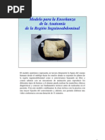 Modelo de Ensenanza Conducto Inguinal2