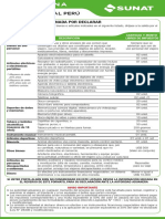 DDJJ-Espanol.pdf