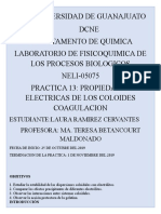 Practica 13 Fisicoquimica