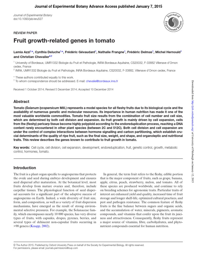 Fruit Growth-Related Genes in Tomato | PDF | Cell Cycle | Auxin