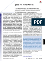 O Availability Impacts Iron Homeostasis in Escherichia Coli: A B C D