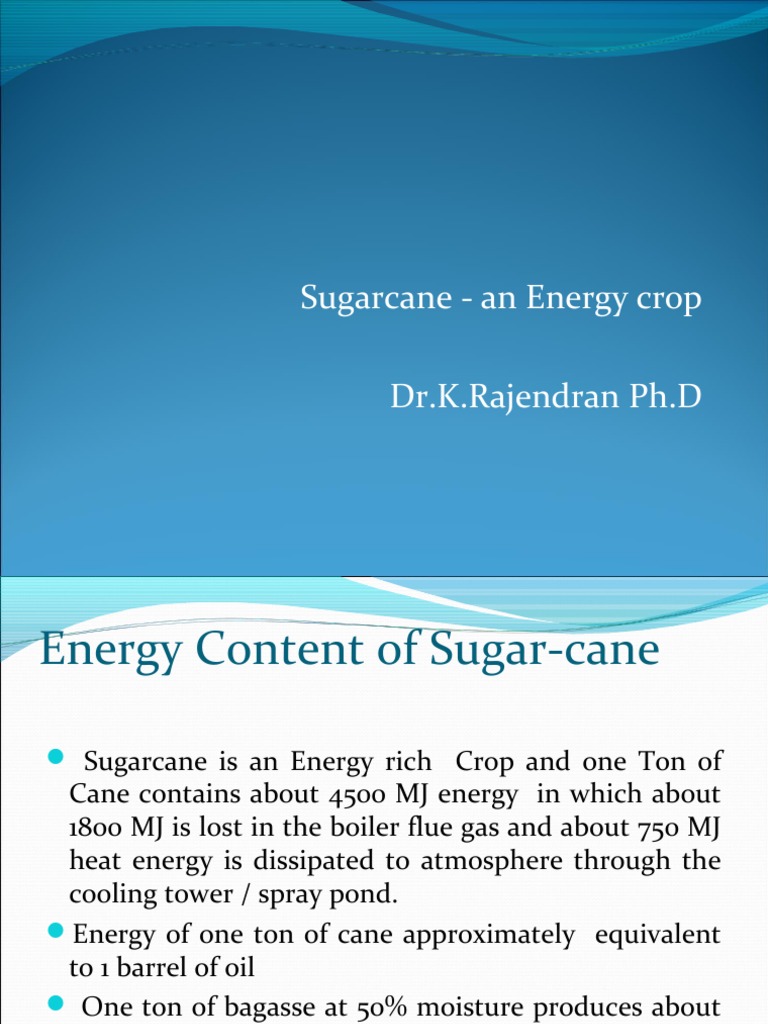 Sugarcane: A Sustainable Energy Source | PDF | Cogeneration | Sugarcane