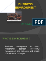 Understanding Business Environment