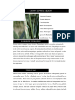 PEst dossier (DM).docx