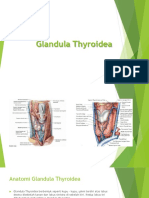 Glandula Thyroidea