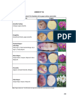 Anexo_1_Nombres e Imágenes de Las Papas Nativas en Ayacucho