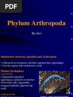 Phylum Arthropoda: by Dwi