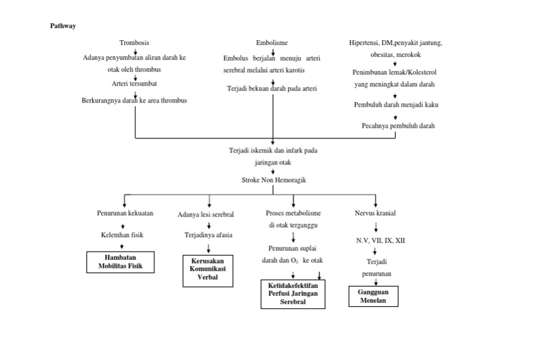 Pathway Stroke Non Hemoragik dan SNH | PDF