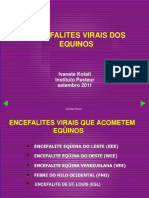 ivanete-encefalites-wrd-2011.pdf