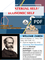 The Material Self/ Economic Self