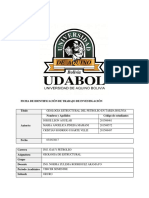 Proyecto Geologia Estructural