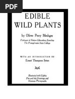 edible-wild-plants.pdf