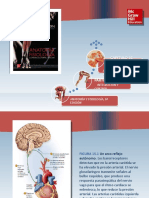 Saladin Anatomia 6a Diapositivas c15 SIST NERV AUTONOMO