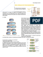 Divisió Cel Lular en Procariotes