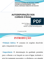 Aula 7 Autodepuração