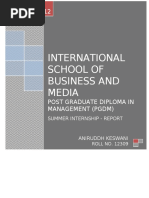 International School of Business and Media: Summer Internship - Report