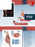 Saladin Anatomia 6a Diapositivas c10 SIST MUSCULAR