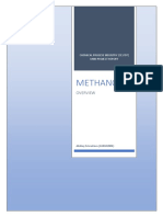 Methanol: Chemical Process Industry (Ce1707) Mini-Project Report