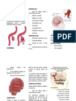 Triptico Aneurisma Cerebral