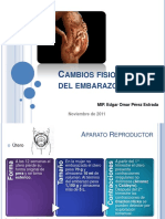 cambiosfisiolgicosdelembarazo-111120224418-phpapp02.pdf