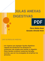 Glandulas Anexas Digestivas