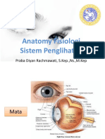Anatomy Fisiologi Sistem Penglihatan