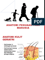 anatomi geriatri.pptx