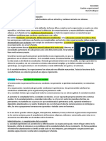 Resumen Texto - Dario Rodriguez - Gestion Organizacional