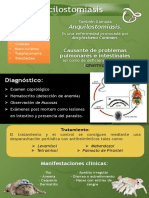Infografia de La Ancylostomiasis