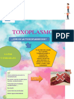 Toxoplasmosis Mural Proyecto 1