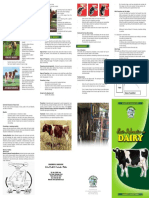 Basic Information On Dairy 2013