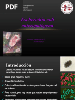 Download Escherichia coli diarreognicas by RodolfoMamut SN43545966 doc pdf