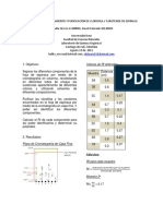 Cromatografia Aislamiento y Purificacion de Clorofila y Carotenos de Espinaca