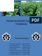 Produksi Tanaman Perkebunan