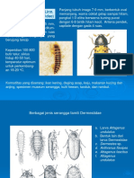 Kuliah 3 Morfologi Dan Biologi Hama Gudang 2
