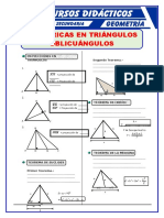 Relaciones Métricas en Triangulos Oblicuangulos para Cuarto de Secundaria