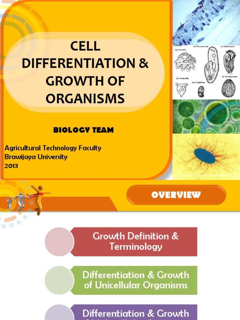Cell Growth of Organisms | PDF | Cell Growth | Cell (Biology)