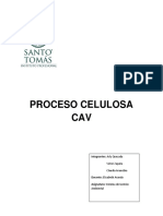 Proceso Productivo Celulosa Cav