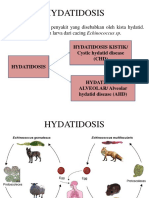 HYDATIDOSIS KISTIK