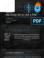 1540775087202_Abordaje de La LRA y ERC