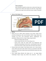 Anatomi Dan Fisiologi Respirasi