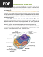 Polígrafo as Células e o Corpo Humano