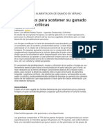 ALTERNATIVAS DE ALIMENTACION DE GANADO EN VERANO PARTE I.docx