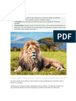 Rey de la Selva: Datos esenciales sobre el león